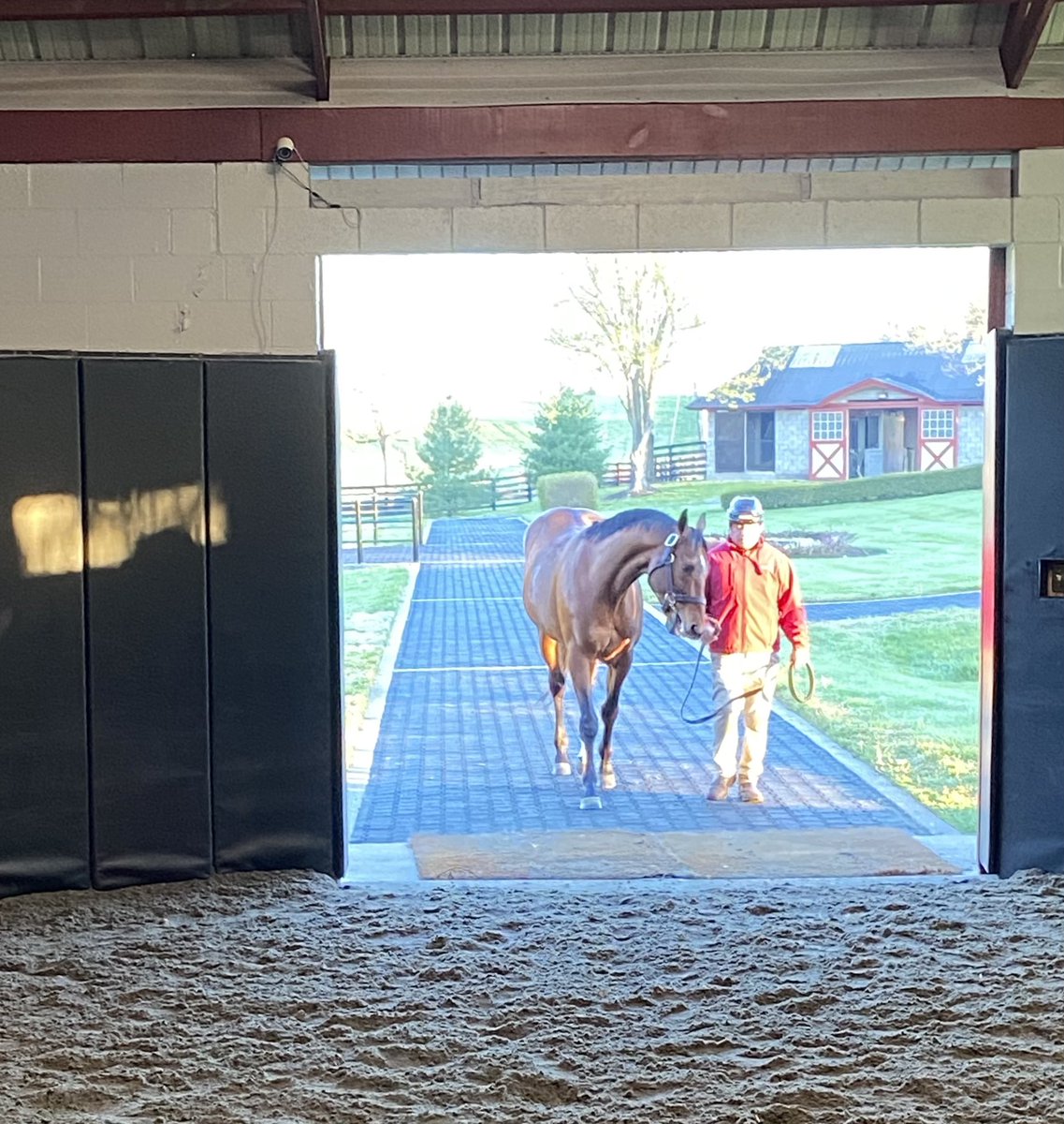 PoloGreenStable's tweet photo. Breeding and foaling season are full swing! Whether we are foaling mares or breeding mares daily😅🐴 Our Storm Cat mare to Idol @TMStallions this morning. Temperature was little cooler than yesterday evening (40degree difference🙄) and beautiful spring out there! #SpringinKY https://t.co/3tzz8kCLjj