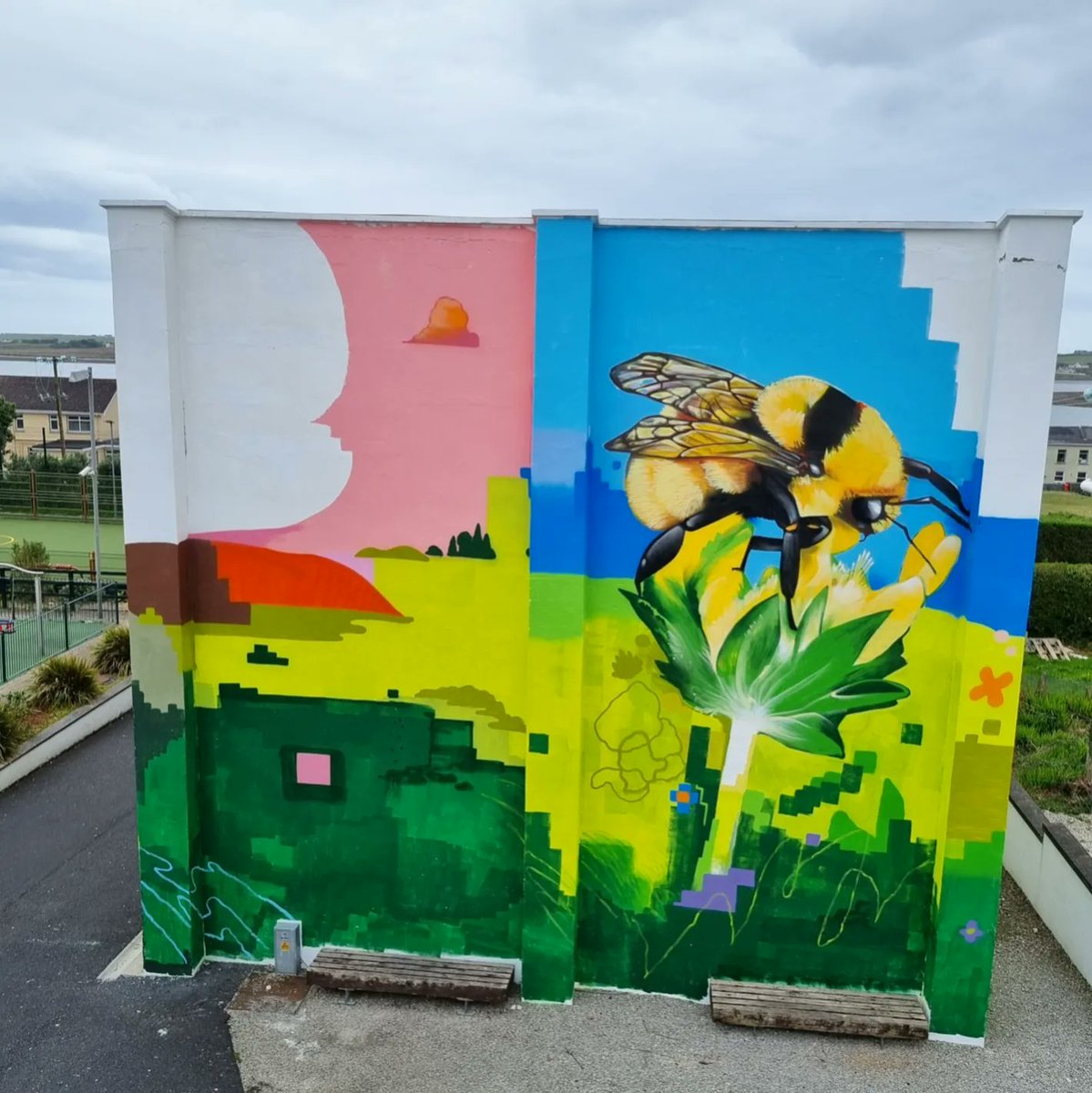 jameskirwanart's tweet photo. Mural in Belmullet commissioned by @TidyBelmullet @CorncrakeLife @NpwsProject @GYB_Project @LIFEonMachair The mural includes The Great Yellow Bumblebee, The Corncrake and Lapwing. Míle Buíochas to all involved 🙏💚🪻🌼🐝🪺💙 
#mural #belmullet #Corncrake #gybb https://t.co/PN30HImE3t