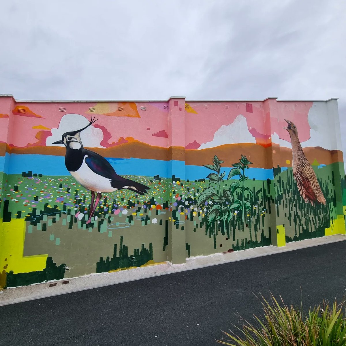 jameskirwanart's tweet photo. Mural in Belmullet commissioned by @TidyBelmullet @CorncrakeLife @NpwsProject @GYB_Project @LIFEonMachair The mural includes The Great Yellow Bumblebee, The Corncrake and Lapwing. Míle Buíochas to all involved 🙏💚🪻🌼🐝🪺💙 
#mural #belmullet #Corncrake #gybb https://t.co/PN30HImE3t