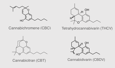 inmedpharma's tweet photo. InMed’s subsidiary @BayMedica produces #bioidentical rare #cannabinoids for the health & wellness industry and is the leading large batch supplier of #cannabichromene #CBC. Also have d9- #THCV, #CBDV & #CBT made to high purity & consistency.
More: https://t.co/28Zso9kgxG
$INM https://t.co/G0xh0ZjU4p