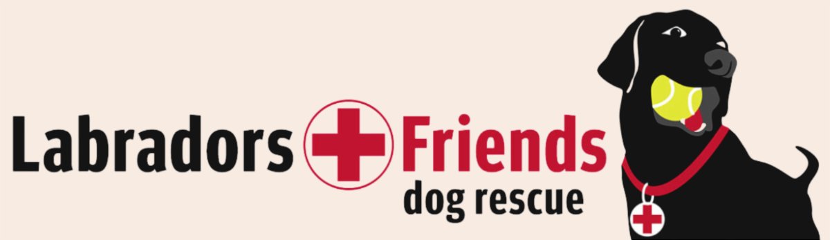 LabsAndFriends's tweet photo. Make sure you read this newsletter before SPRINGING into action!

https://t.co/IE72RDs5QQ https://t.co/YqcW3MAbrw