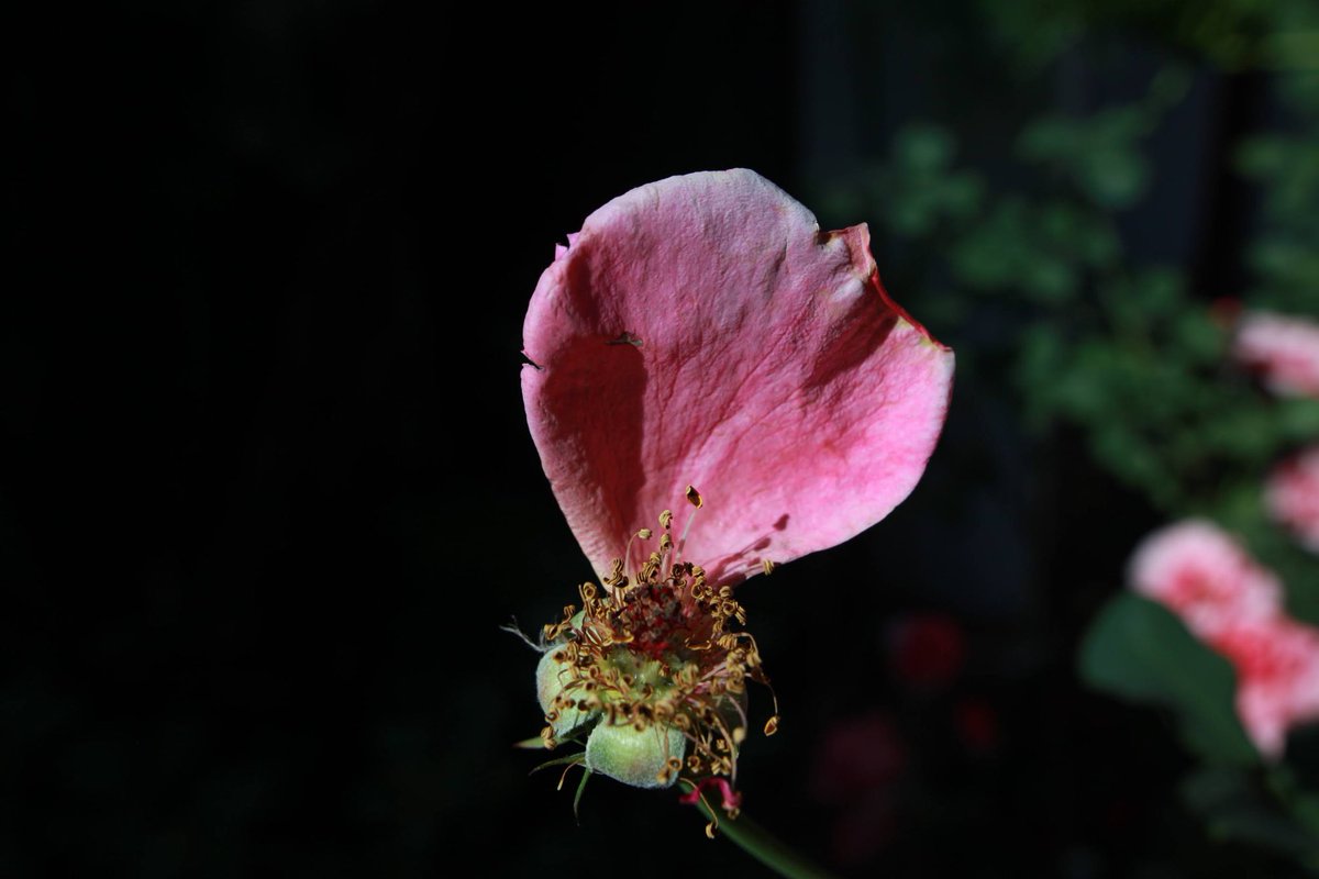 Change is a law of nature. Embrace it.