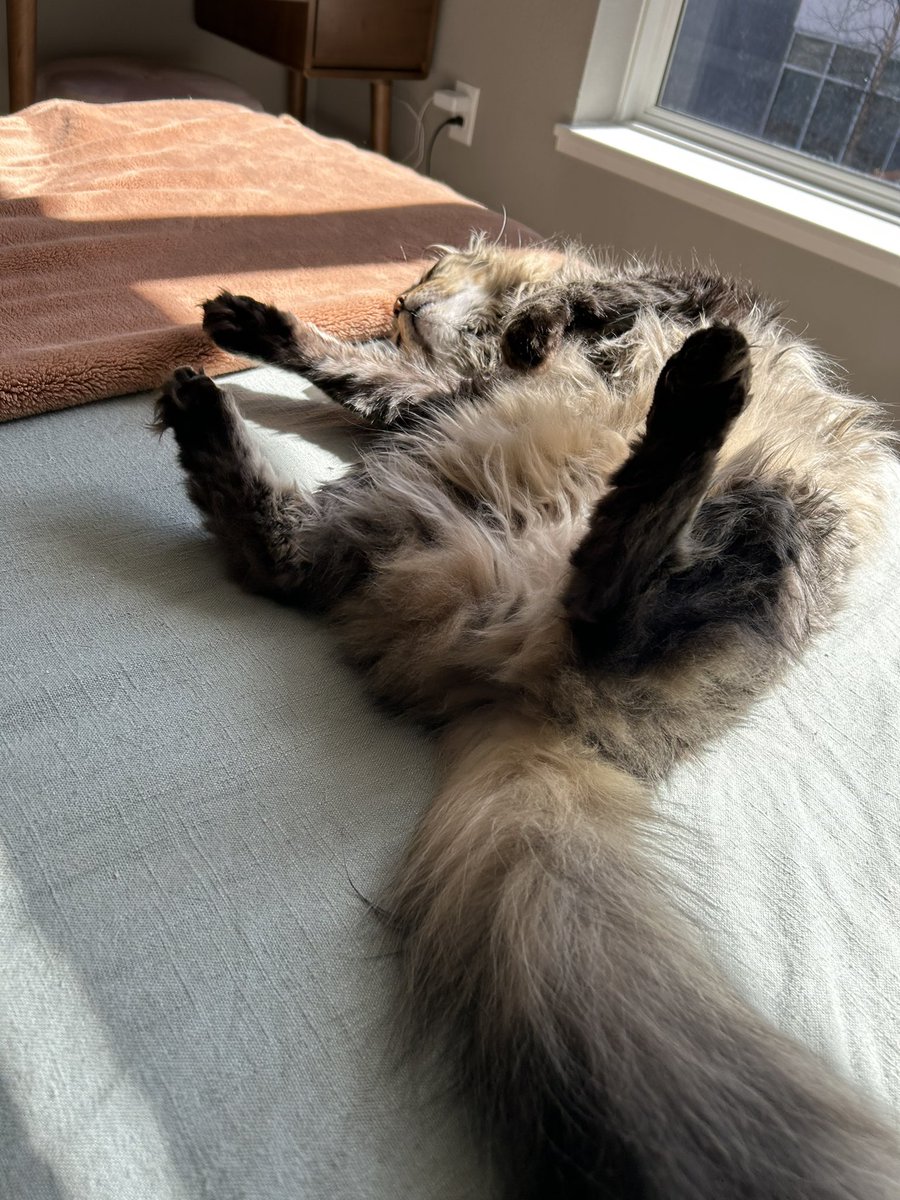 daggerglad's tweet image. 