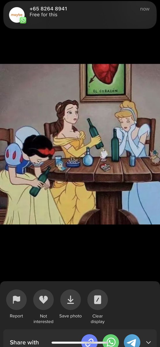 Princess tweet media