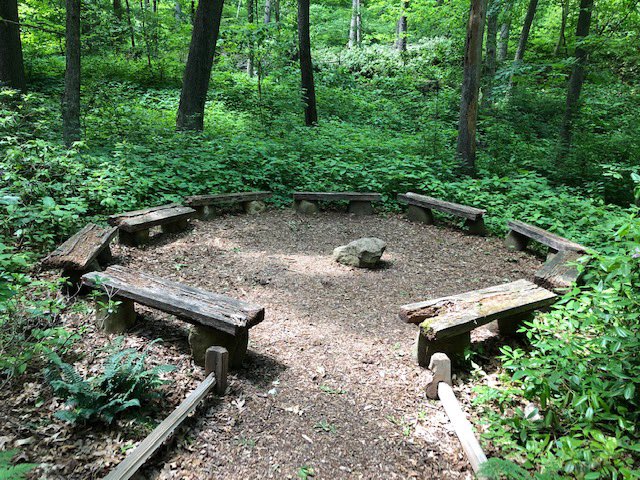 odaysalim's tweet photo. It was fitting to end my @UMichLaw mini seminar on legal personhood for natural resources surrounded by natural resources: at the Nichols Arboretum council ring. https://t.co/xz4eyizBCC https://t.co/o1nIX5nOPJ