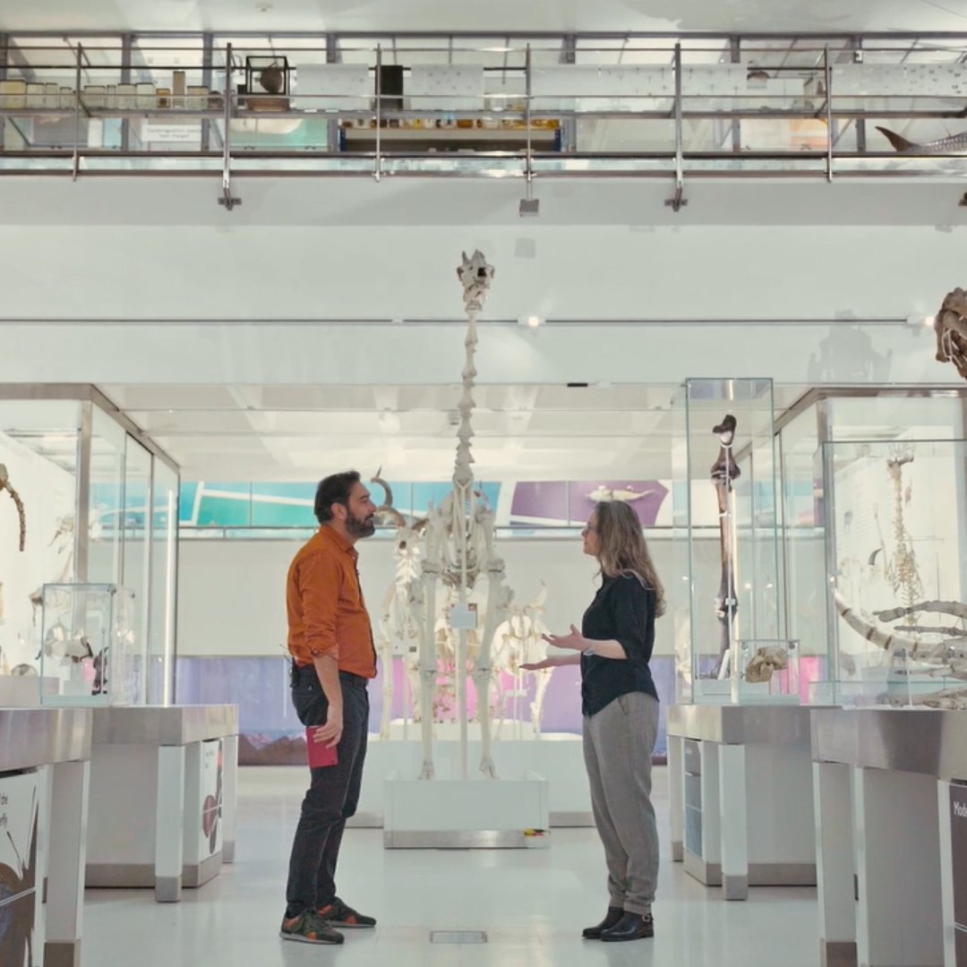 📢 El próximo lunes NO hay emisión de #ElCazadordeCerebros, pero volvemos el día 24 con un capítulo apasionante sobre los retos en la preservación de la biodiversidad.

Os dejamos algunas imágenes de lo que veremos: ¿sabéis distinguir qué animales son?⬇️🧐<a href="/rtve/">RTVE</a> <a href="/rtveplay/">RTVE Play</a> <a href="/la2_tve/">La 2</a>