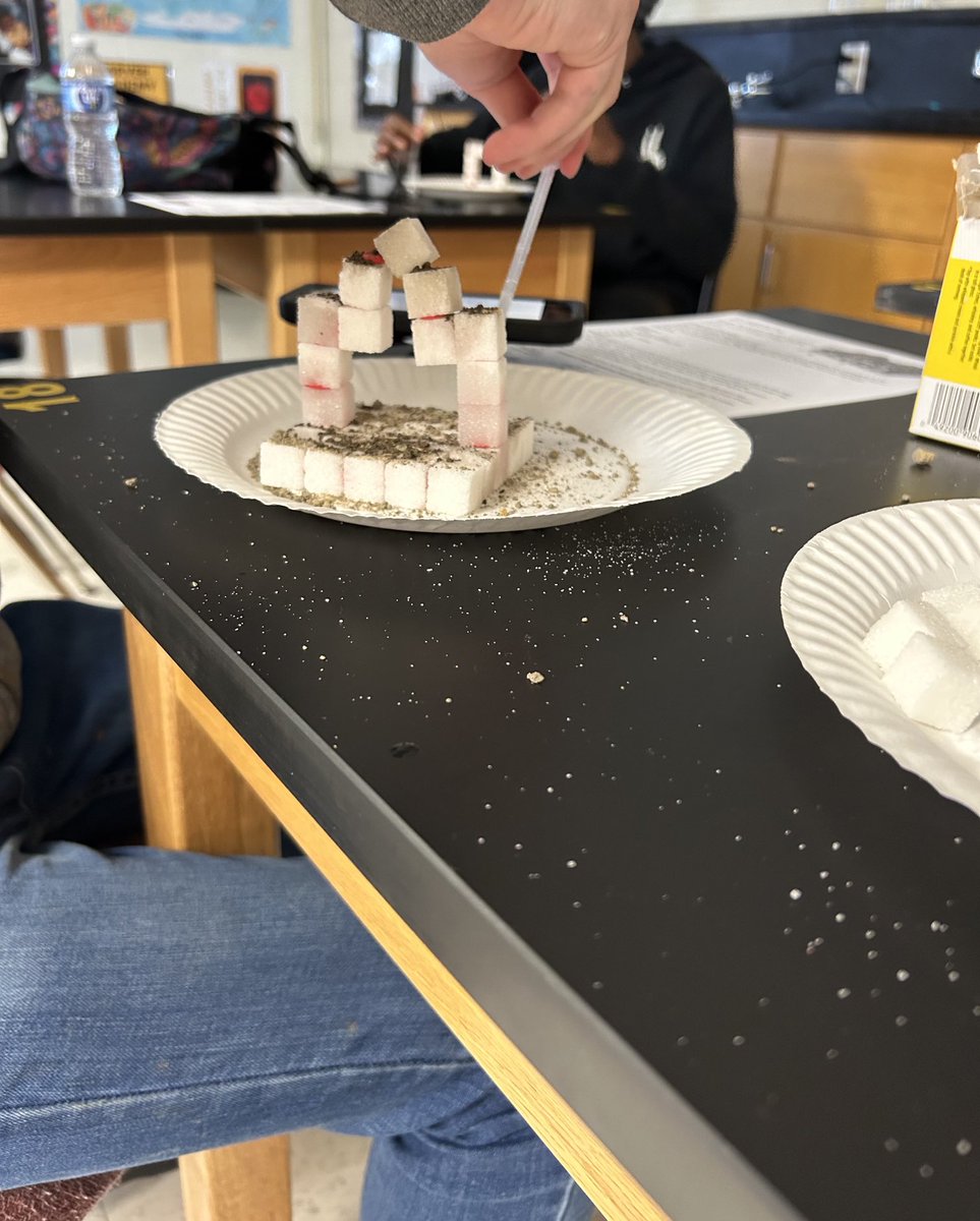 Susan Anderson tweet media