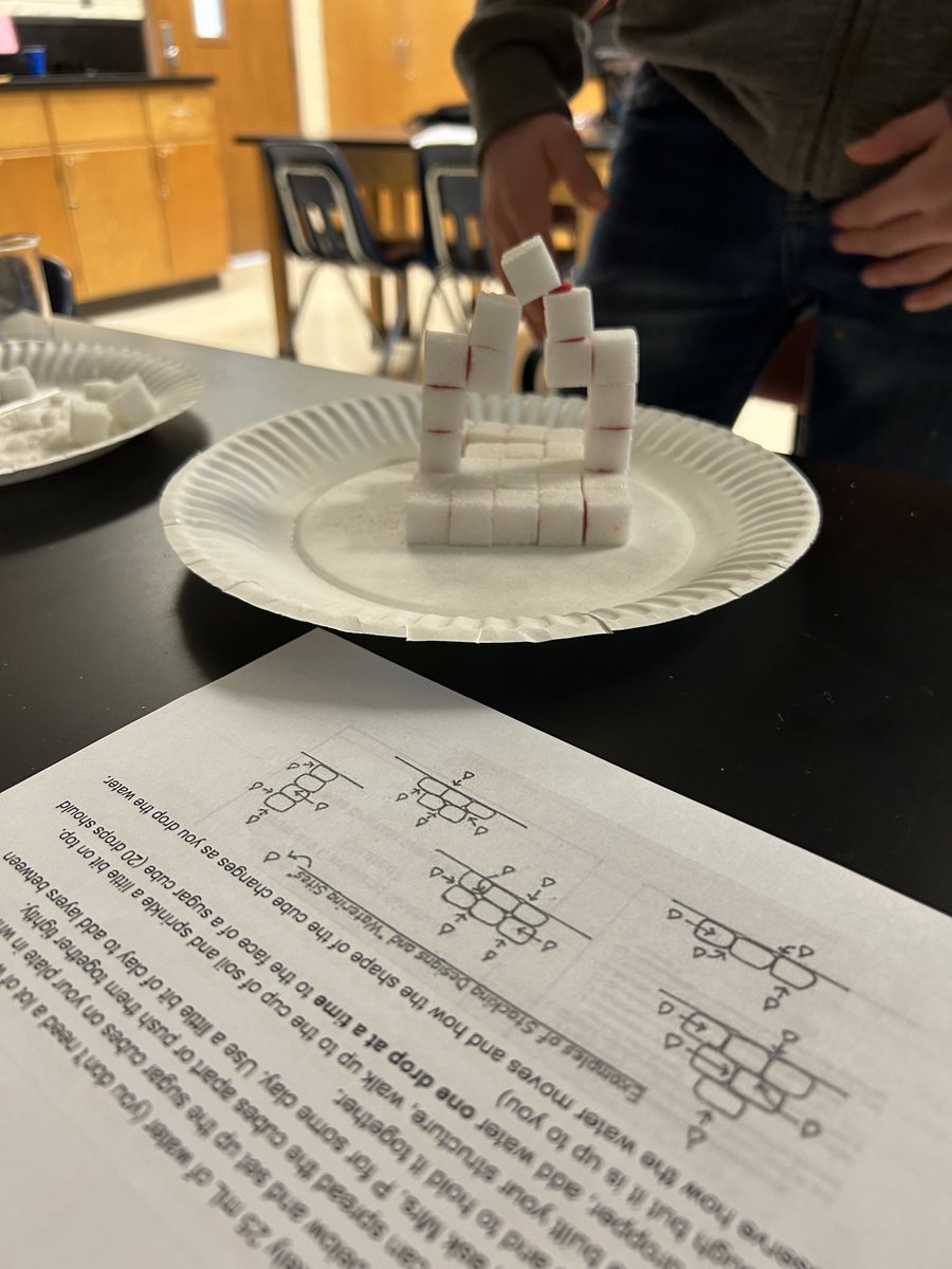 Susan Anderson tweet media