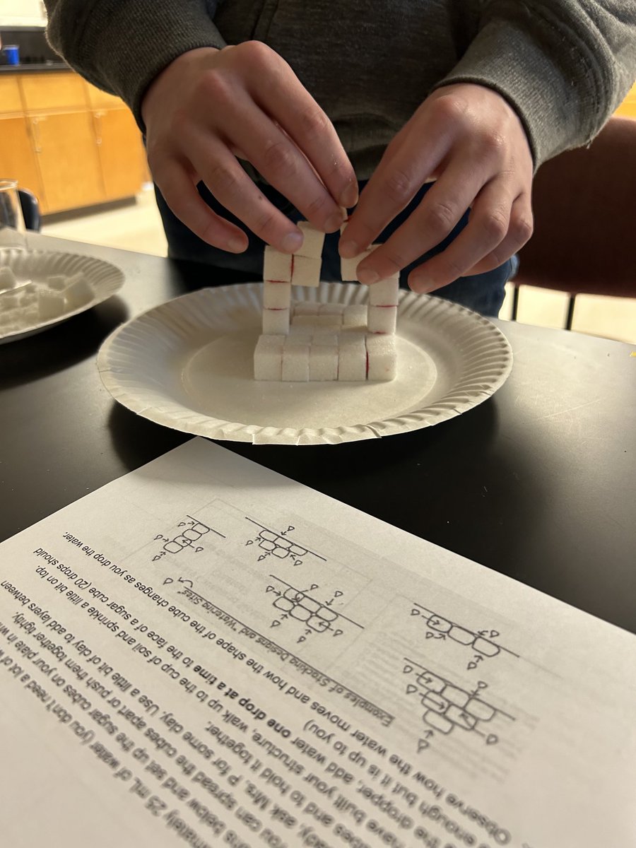 Susan Anderson tweet media