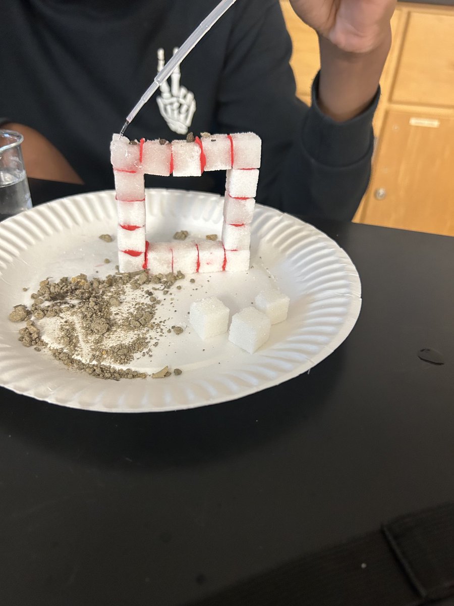 Susan Anderson tweet media