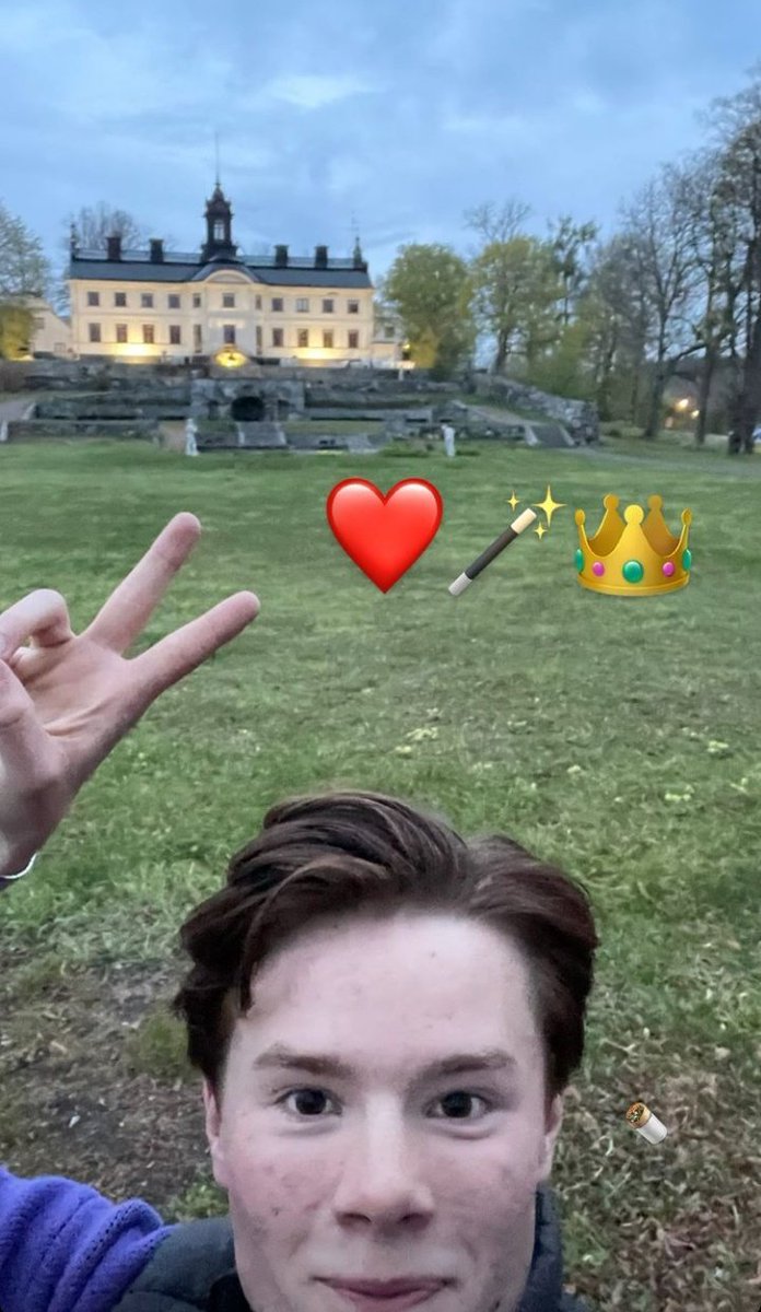 Prince_Wilhelm_'s tweet photo. Hello there from your swedish prince https://t.co/Wn4ts9oZVU
