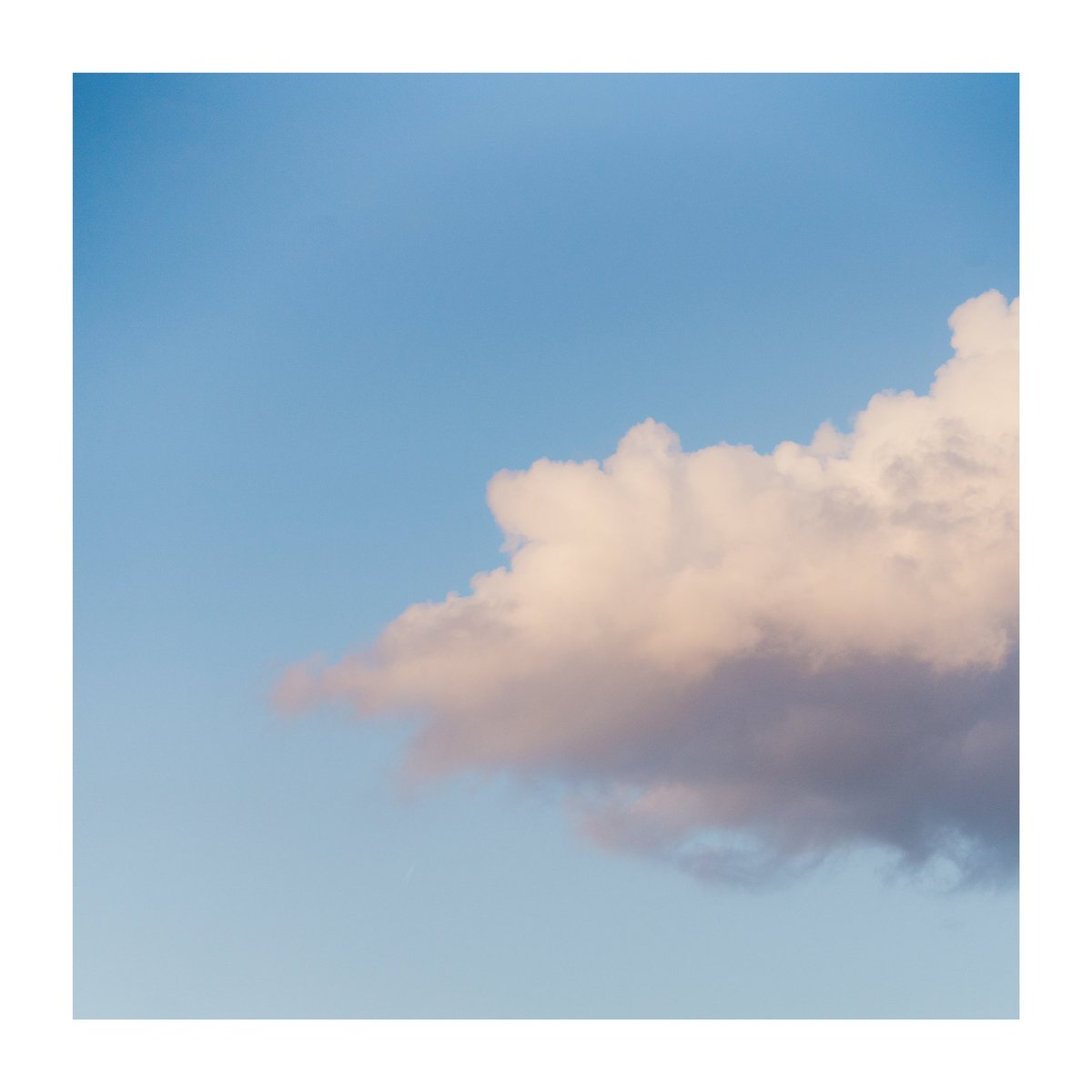 titaniumvisuals's tweet image. better days