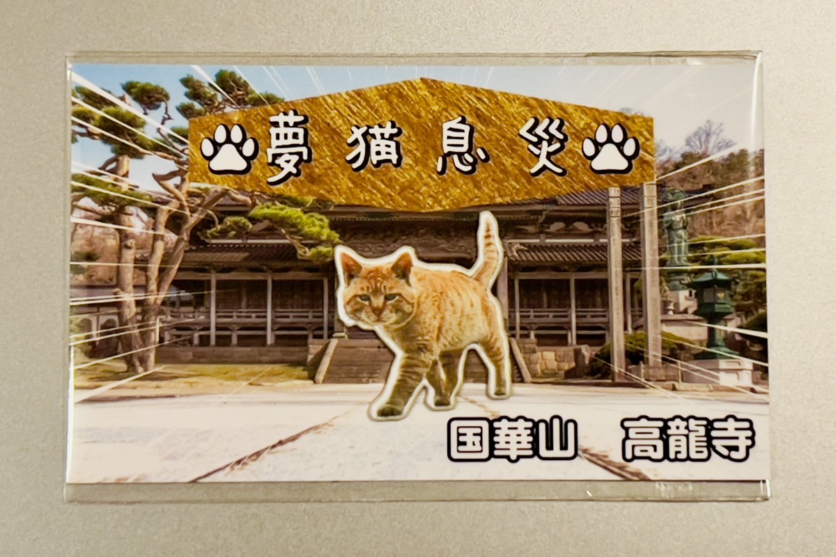 先ほどLINEで住職と相談しまして こちらのネコお守りの利益は全額 猫の