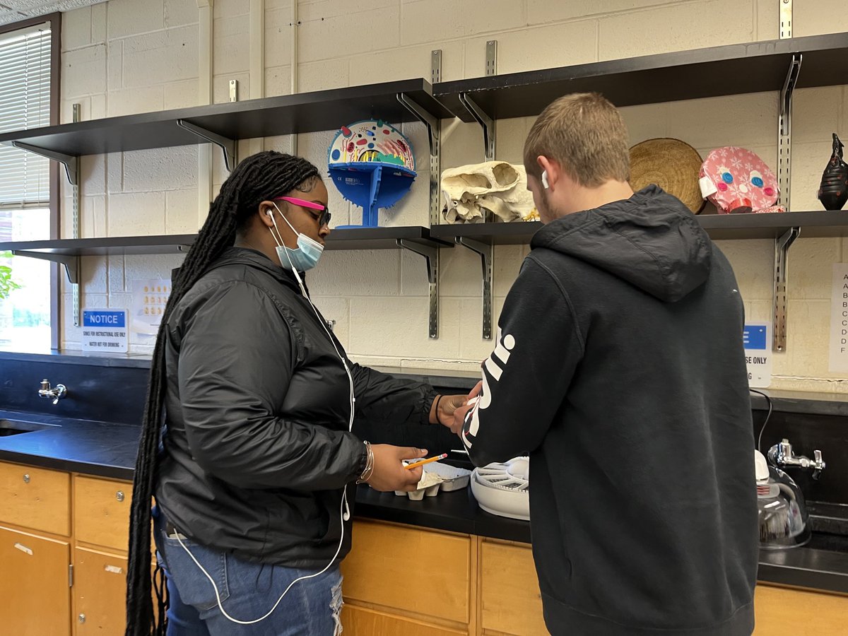 Susan Anderson tweet media