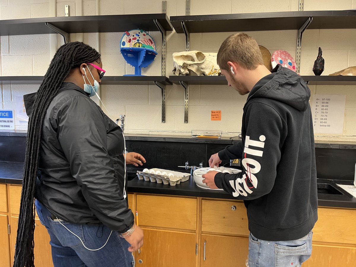 Susan Anderson tweet media