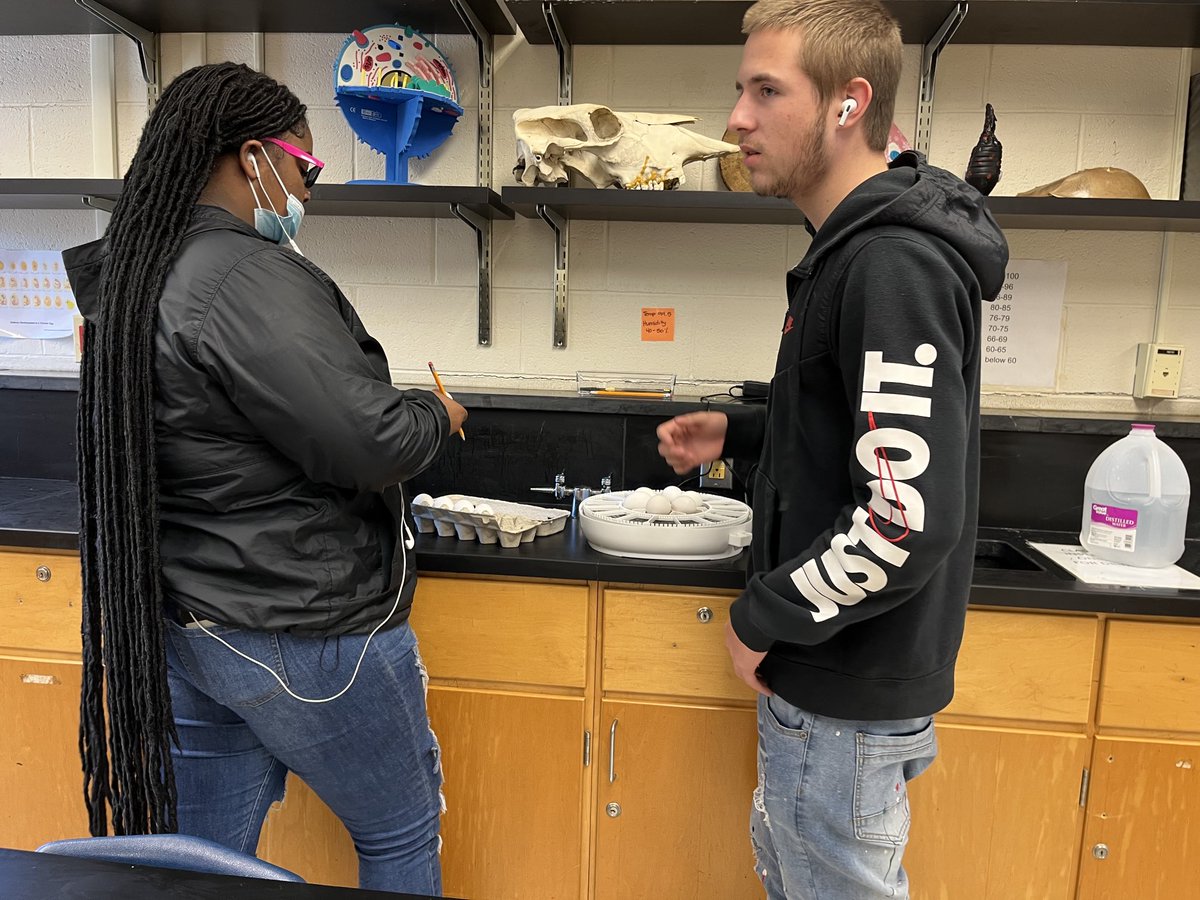 Susan Anderson tweet media