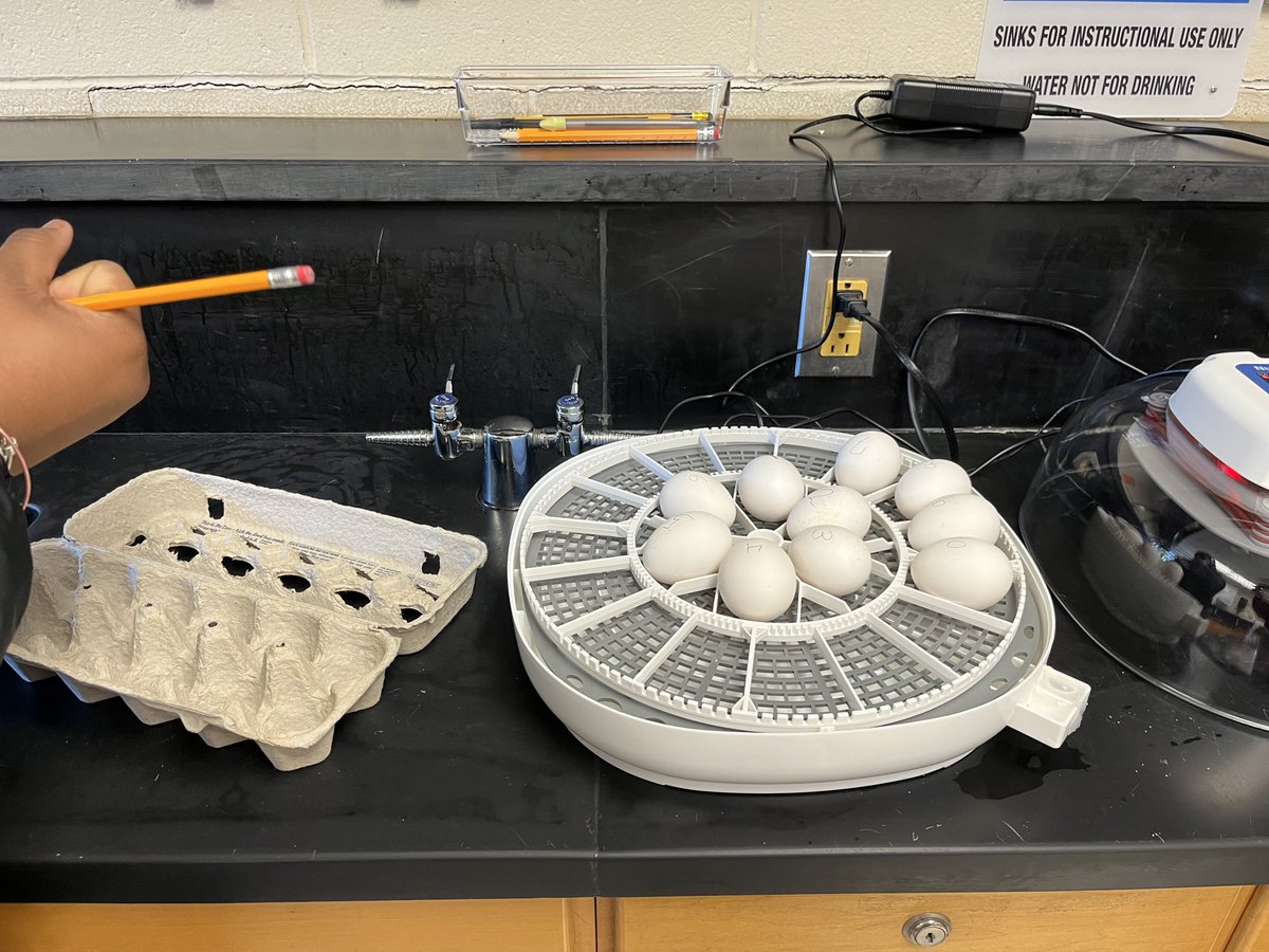 Susan Anderson tweet media