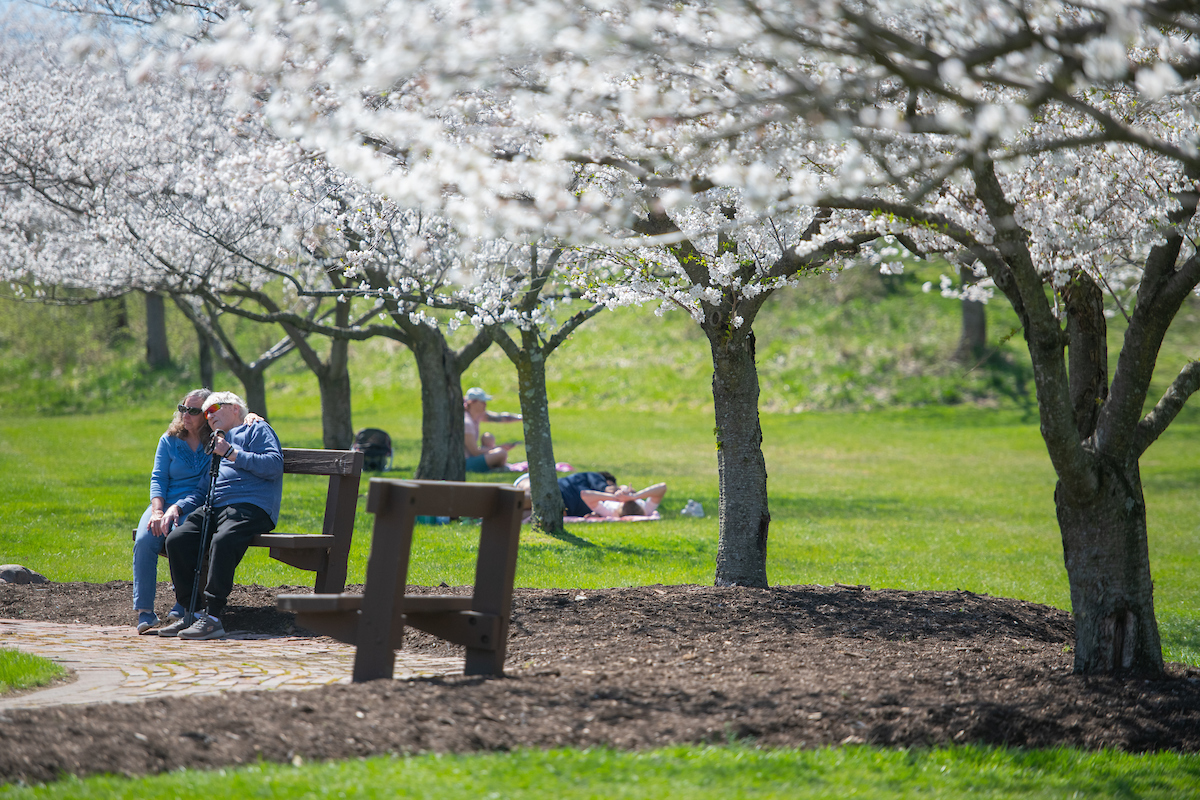 clevemetroparks's tweet photo. To-do list today:

See the #cherryblossoms at Brookside Reservation. ✔️ https://t.co/6U1nIhqfAC