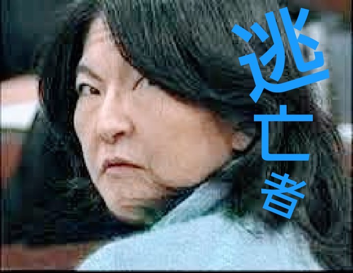 11happygogo's tweet photo. @flatoutjedi1965 警察ダメなら国民が指差して呼びかける運動「あっ指名手配だ～」と叫びましょう♪♬♩♪♬逃亡～逃亡者 https://t.co/V90Y9yZPct