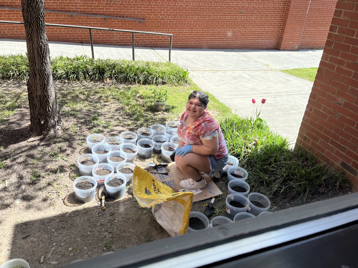 Susan Anderson tweet media