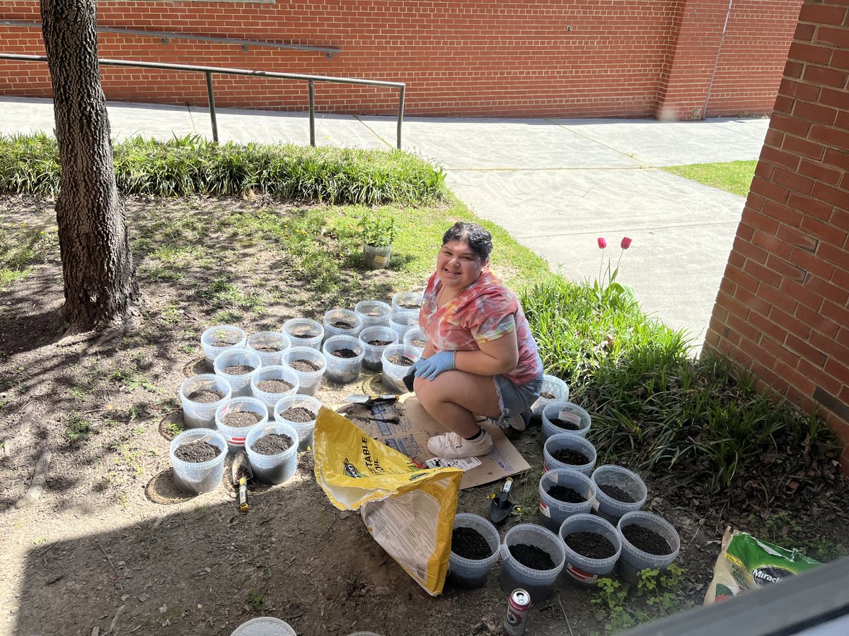 Susan Anderson tweet media