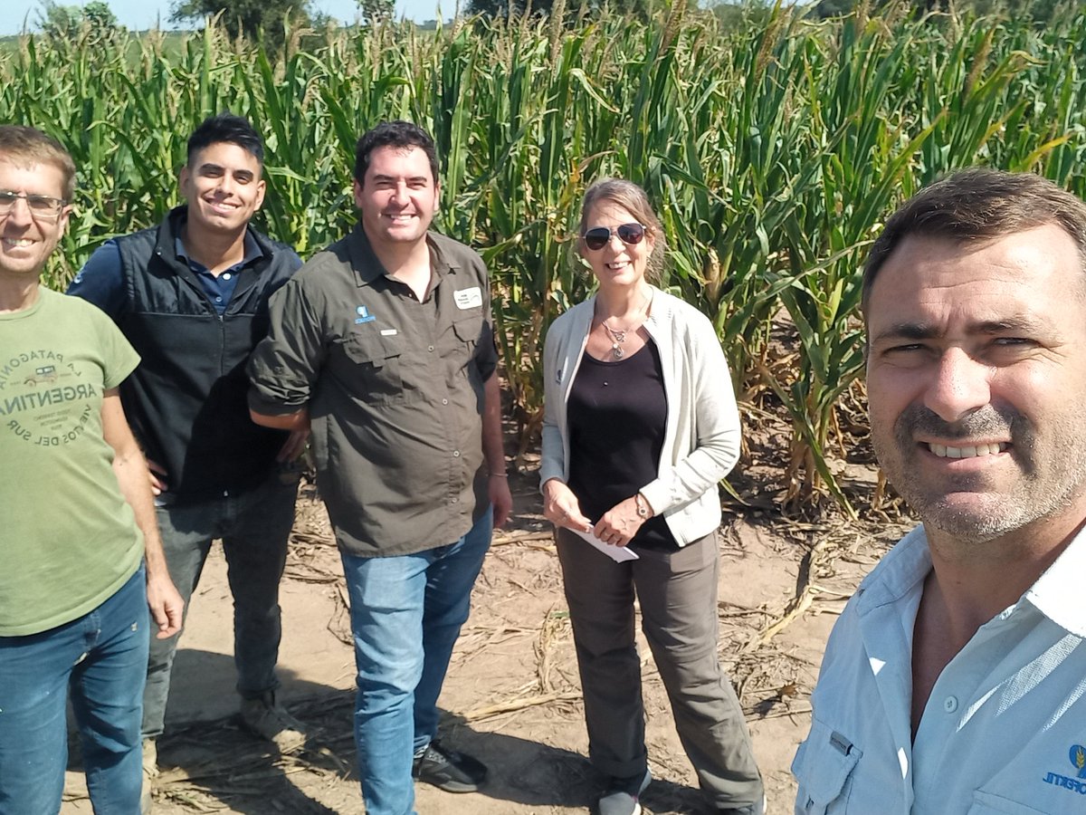 RodrigoFalcone5's tweet photo. Semana más q productiva. Capacitación en #nutrición y rentabilidad junto a Alfagro pensando en #trigo  y visita a #reddeensayos junto a @grupoagroempre en norte de Córdoba. Diferencias visuales en #dosis y #fuentes (#ureagranulada vs #eNeTOTALPLUS) @ProfertilAgro https://t.co/aN7KPD7hJX