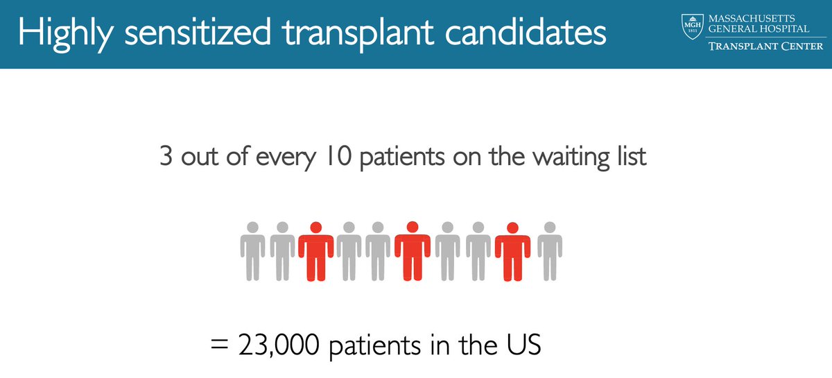 3 out of every 10 kidney transplant candidates are highly sensitized!If you have a high level of antibodies to different HLA antigens, it can be difficult to find a compatible kidney donor. his means you may have to wait longer for a kidney transplant <a href="/mgh_transplant/">Mass General Transplant</a> we can help!