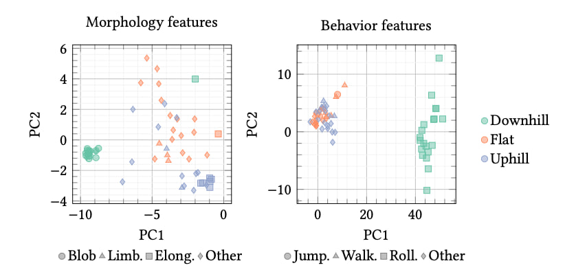 Federico Pigozzi tweet media