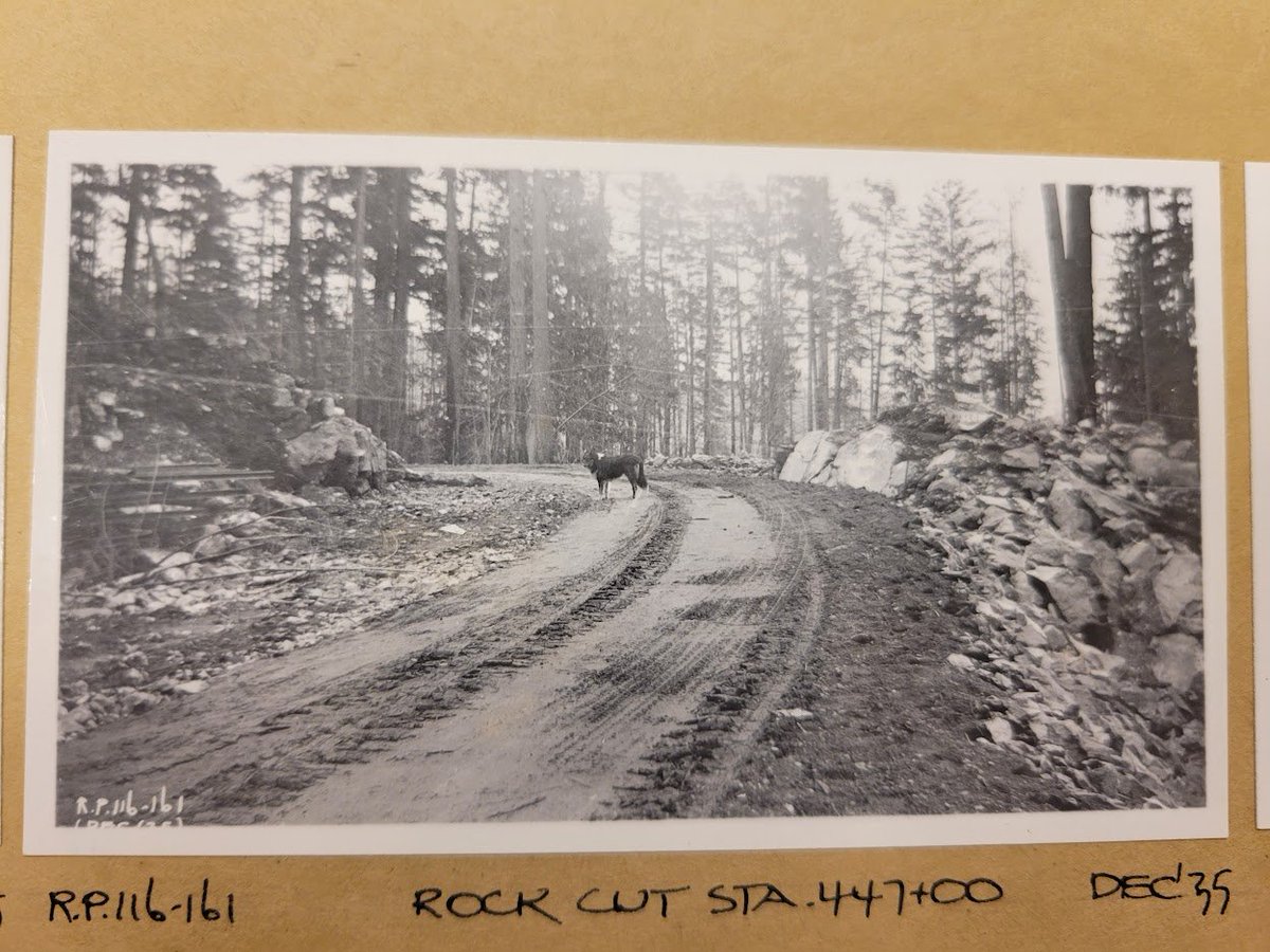 My search for Pender Harbour #bchist material @LibraryArchives (h/t #2023AAW) continues. Latest find: photos of Hwy 101 construction, a Depression relief project, 1933-1935. Faves: temp rwys for removing rock and a new #dogsoftwitter! (NB: @benbradleyca, @fishgottaswim2, @SCM_A)