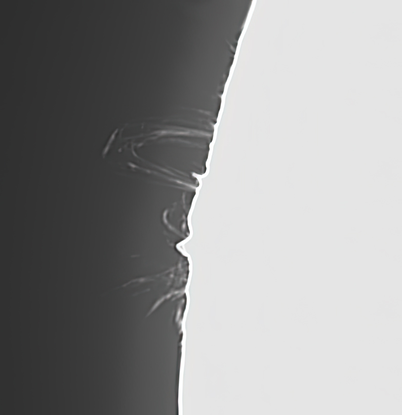 CarbonRobot's tweet photo. That prominence from yesterday. Missed in the animation sequence, sadly. #astrophotography #astronomy #sun #prominences #solar #space https://t.co/0P3PicJ5vT