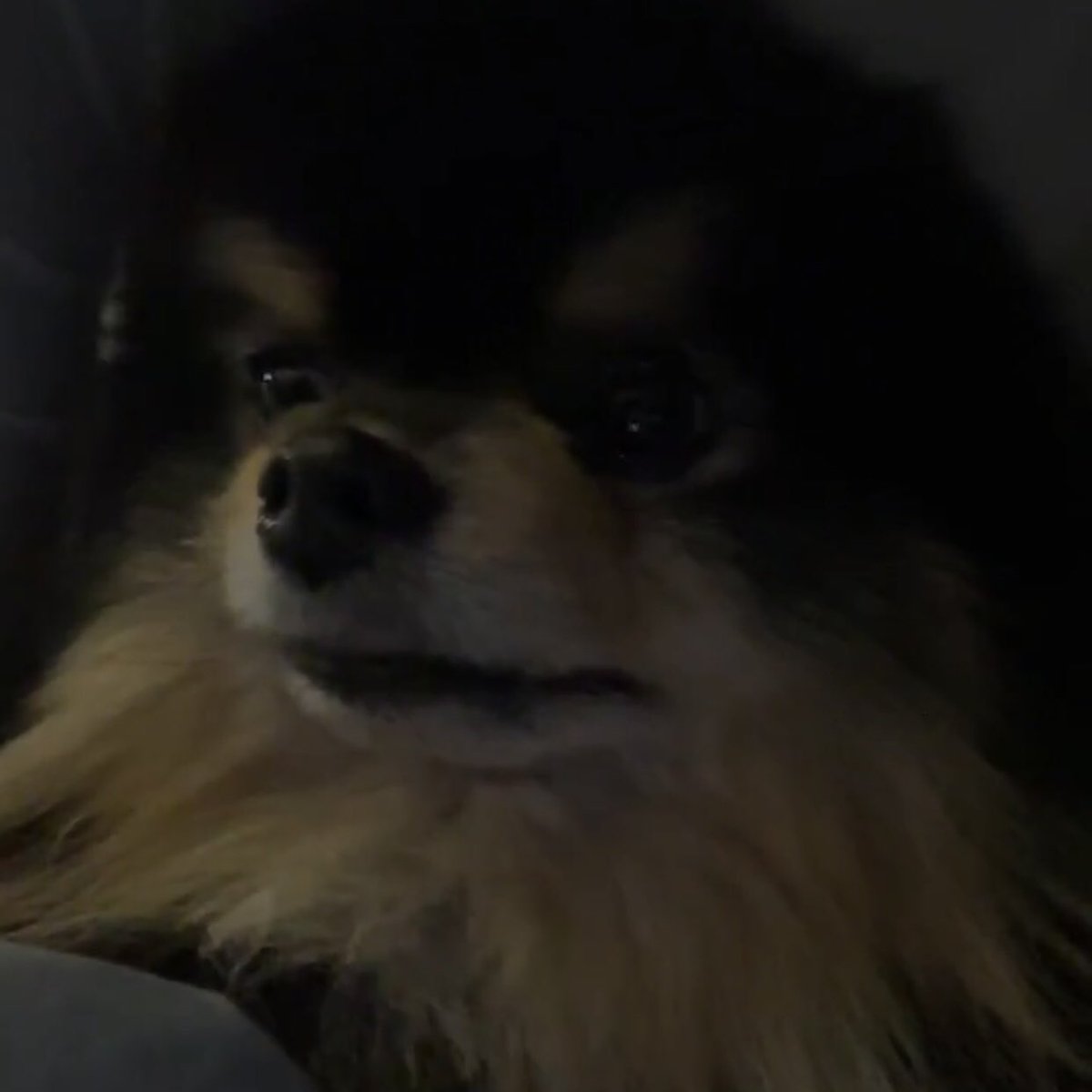 thvphotos's tweet photo. YEONTAN LIVE WITH TAEHYUNG 😌 https://t.co/HlgGtXLOLd