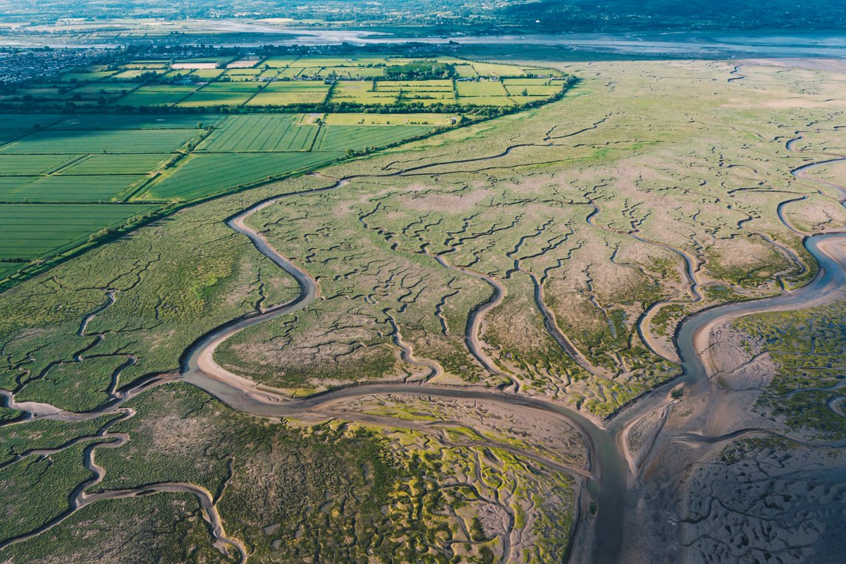 UNBiodiversity's tweet photo. Coastal wetlands like saltmarsh have a superpower.  

They can store more carbon per hectare than all the world's forests COMBINED 🌳🌍

Via @WWTworldwide https://t.co/KL3ng24j5j