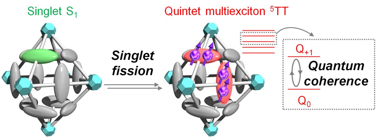 NobuhiroYanai's tweet photo. Excited to share "room-temperature" quantum coherence of quintet multiexcitons, and the first example of singlet fission in MOF. Control of molecular motion in MOF is the key.
Great collaboration with Kobori and @KiyoshiMIYATA_E  groups. 
Now out @ChemRxiv
https://t.co/EwQRbCPx7d https://t.co/IlOFetZ0lc