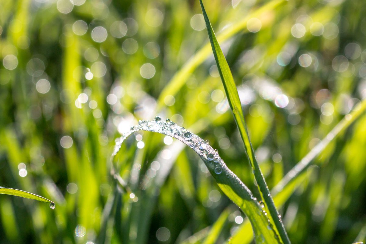 Inge Nijhoff tweet media