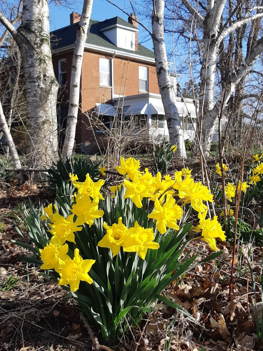 Stay safe this beautiful spring day! <a href="/RidgetownCampus/">Ridgetown Campus</a> Brien House