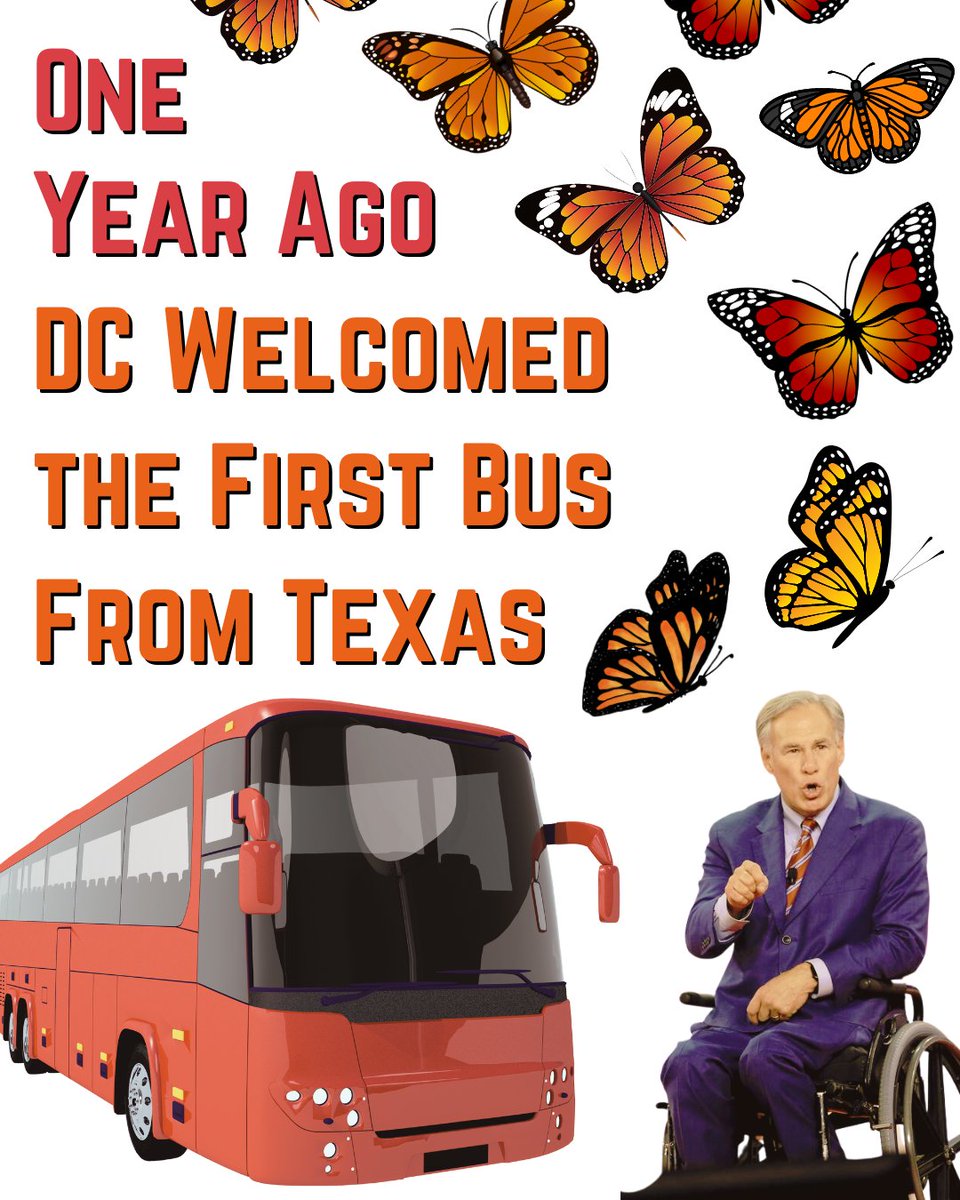 Sanctuary DMV tweet media