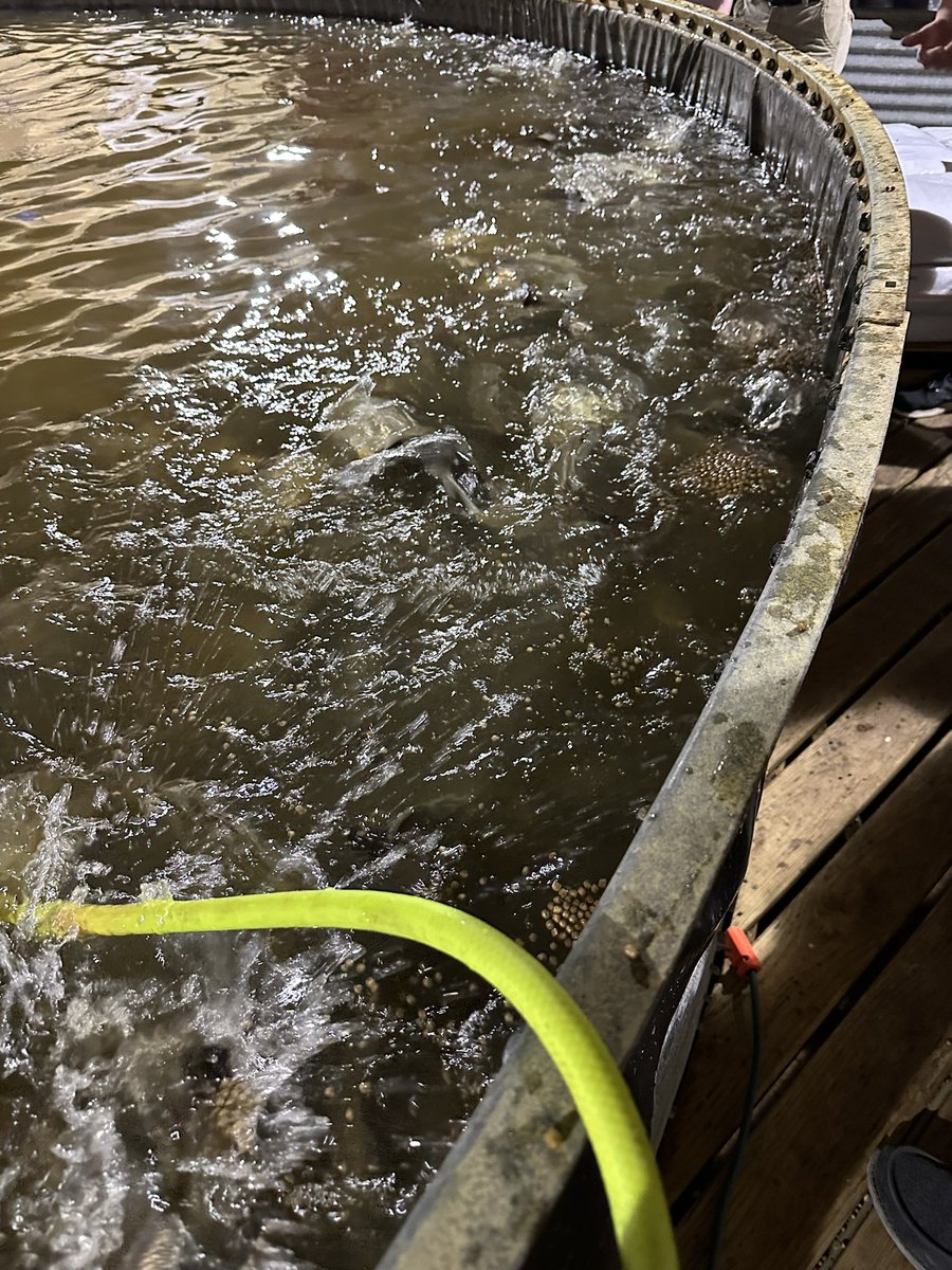CPrairieAg's tweet photo. 2nd stop! Hanilu Fish Farm! https://t.co/DIiTyRqrz1