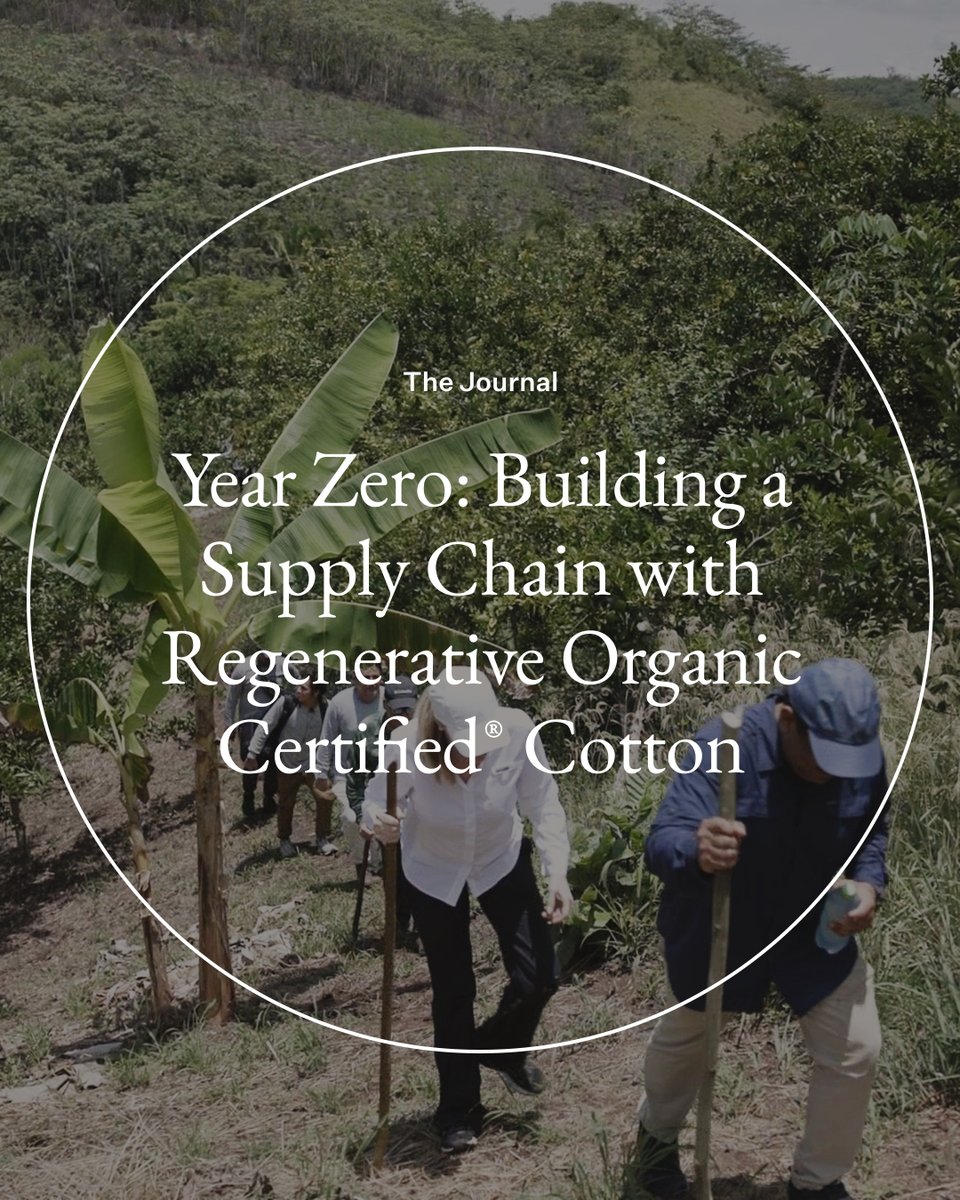 We flew over 4,000 miles to visit Regenerative Organic Certified® cotton fields—and got to know our supply chain in rural Peru. Why? Because we think this is going to be a big deal. bit.ly/3MBIIIB
