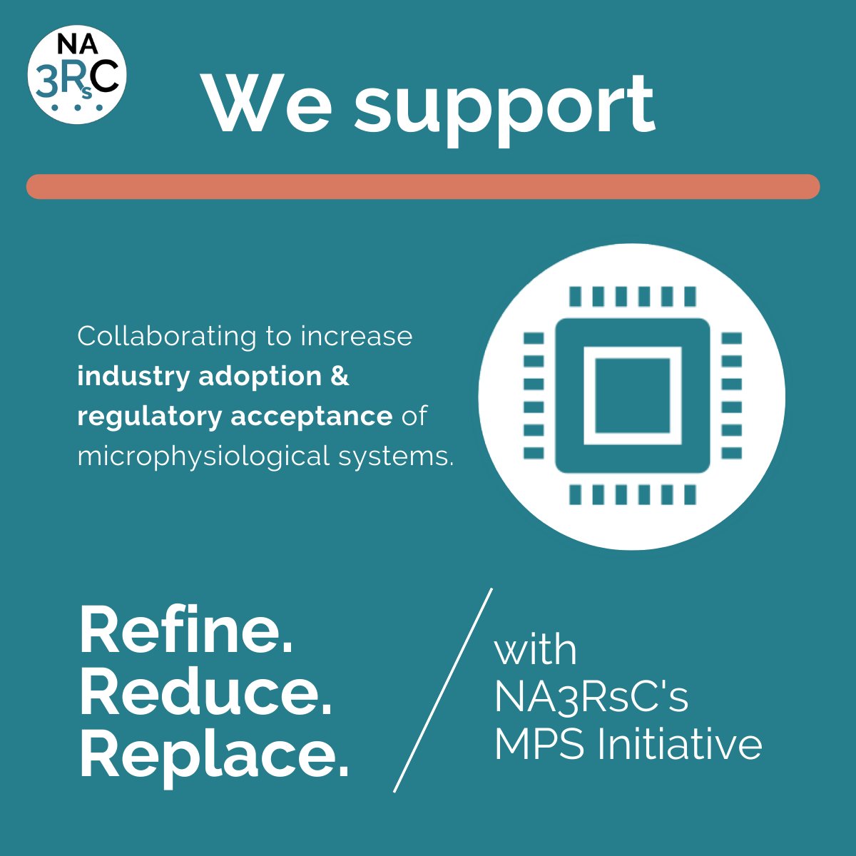 Ossiform tweet media