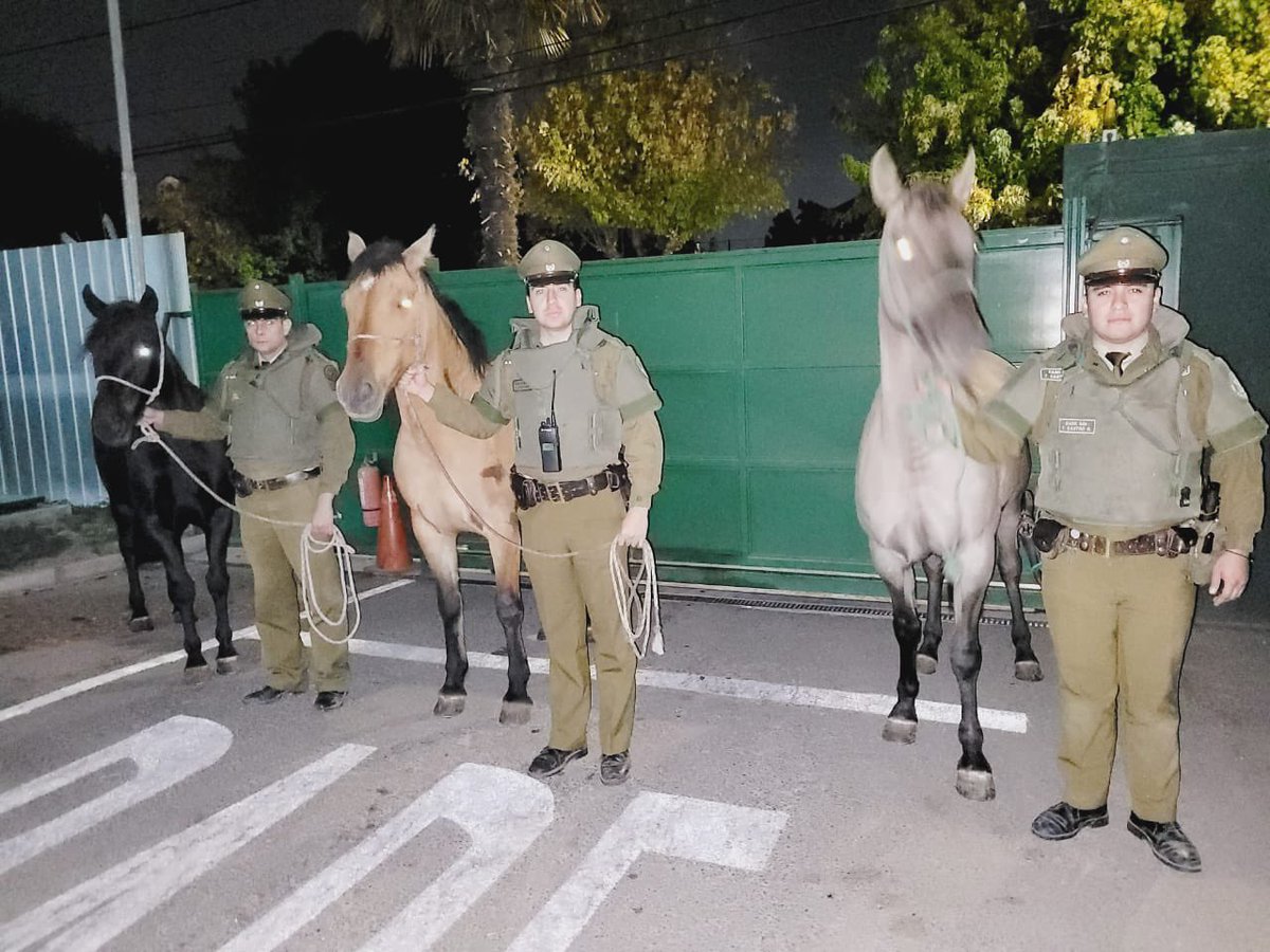 Carab_Ohiggins tweet media