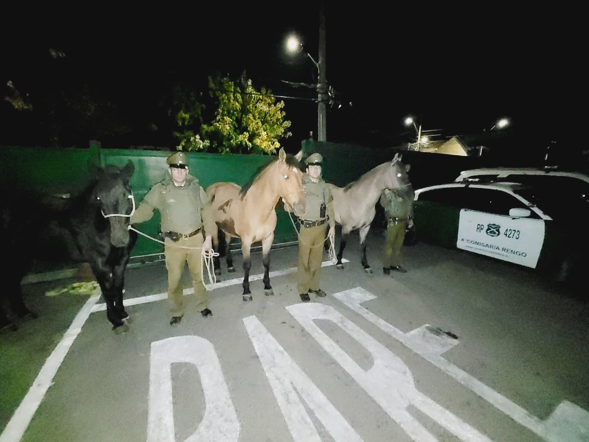 Carab_Ohiggins tweet media