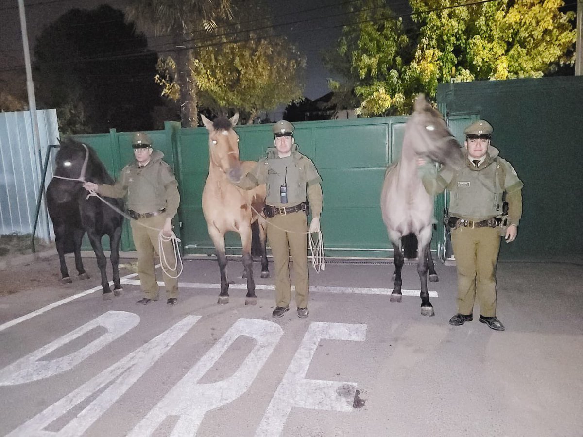 Carab_Ohiggins tweet media