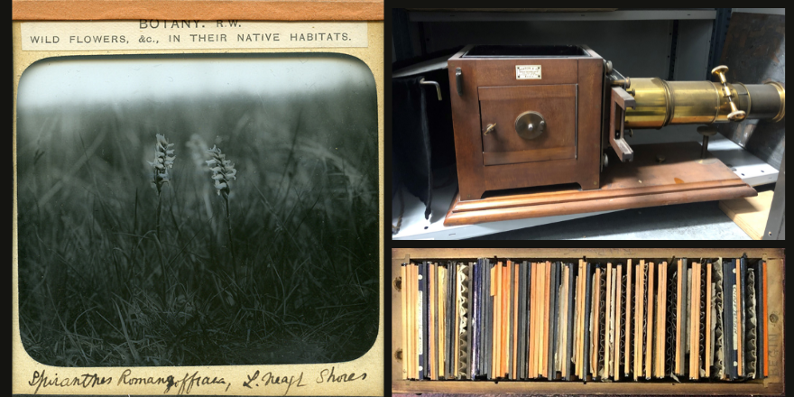 Library_RIA's tweet image. Lights, camera, action! Read the latest Library Blog post by Rebecca Cairns exploring the photographic collection of Robert Lloyd Praeger (1865-1953) @RIAdawson and the importance of preserving lantern slide collections. 📷📽️
📰ria.ie/news/library-l…
#LibraryBlog #photography