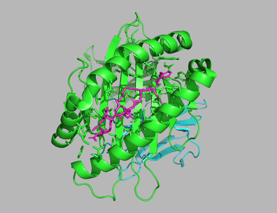 A new Research Resource shares an algorithm that can better identify neoantigens that could be employed to induce immune responses during personalized cancer vaccine development. @obigriffith @malachigriffith

Read more: scim.ag/2el