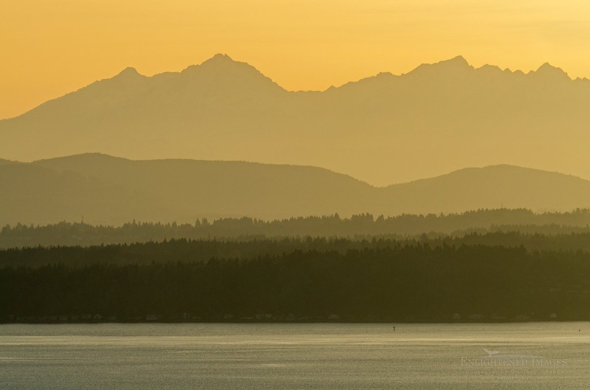 Sunset over Puget Sound from Seattle, Washington.  --  From my post: "Lost on the Hard Drive; Episode 87b: Scenes from Seattle." 
enlightphoto.com/scenes-of-seat…

#washingtonstate #seattle #pugetsound #northwest #pacificnorthwest