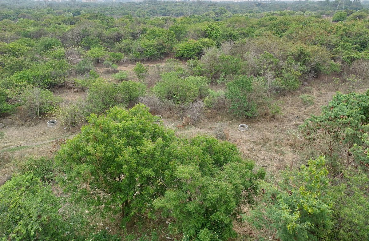 shekhar_mande's tweet image. 50 odd students who attended the 4- credit course on &quot;Biomolecular Structure &amp;amp; Interactions&quot; in the beautiful lush green University of #Hyderabad 

@HydUniv