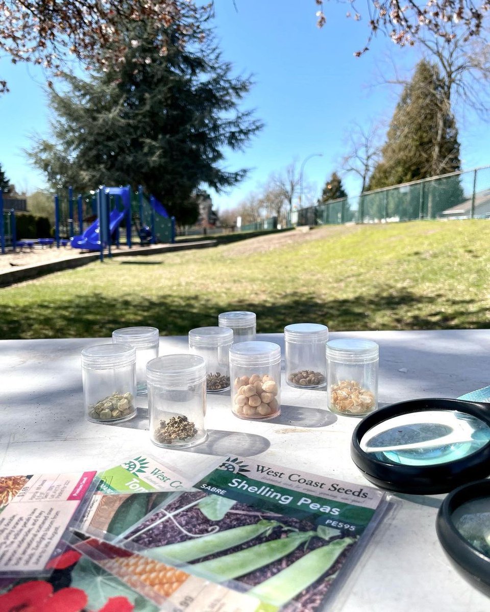Classroom Gardener tweet media