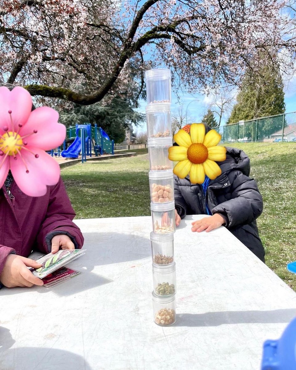 Classroom Gardener tweet media