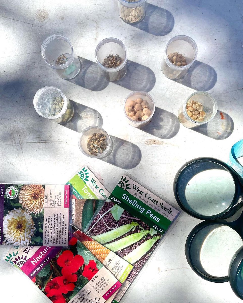 Classroom Gardener tweet media