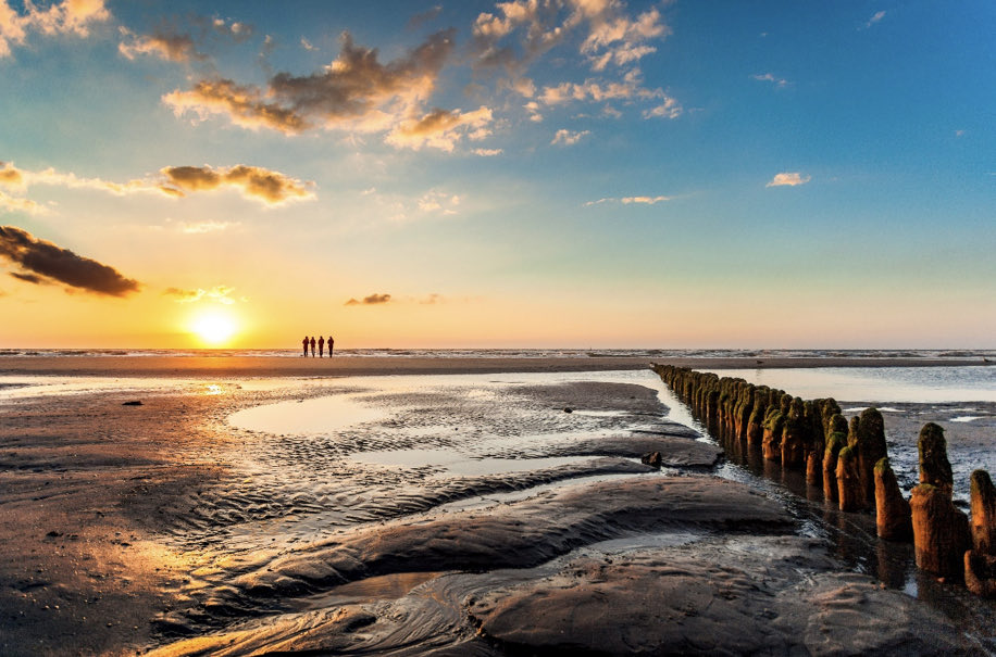#Seelenheil : Das Meer ist immer für Dich da und behandelt uns alle gleich.
stern.de/gesundheit/auf…
psylex.de/psychologie-le…
Bild: Janis Meyer, Wattenmeersekretariat